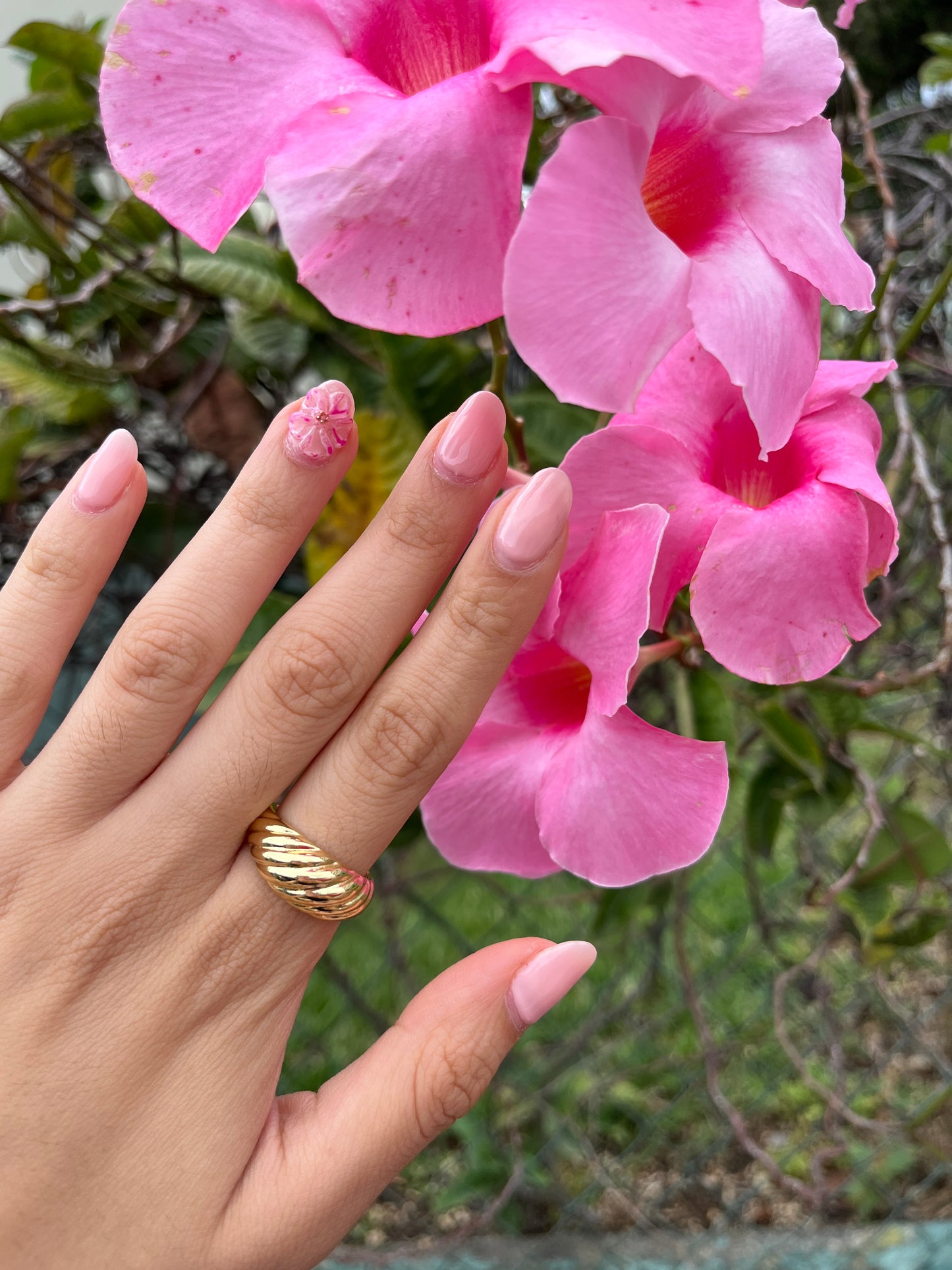 Croissant ring